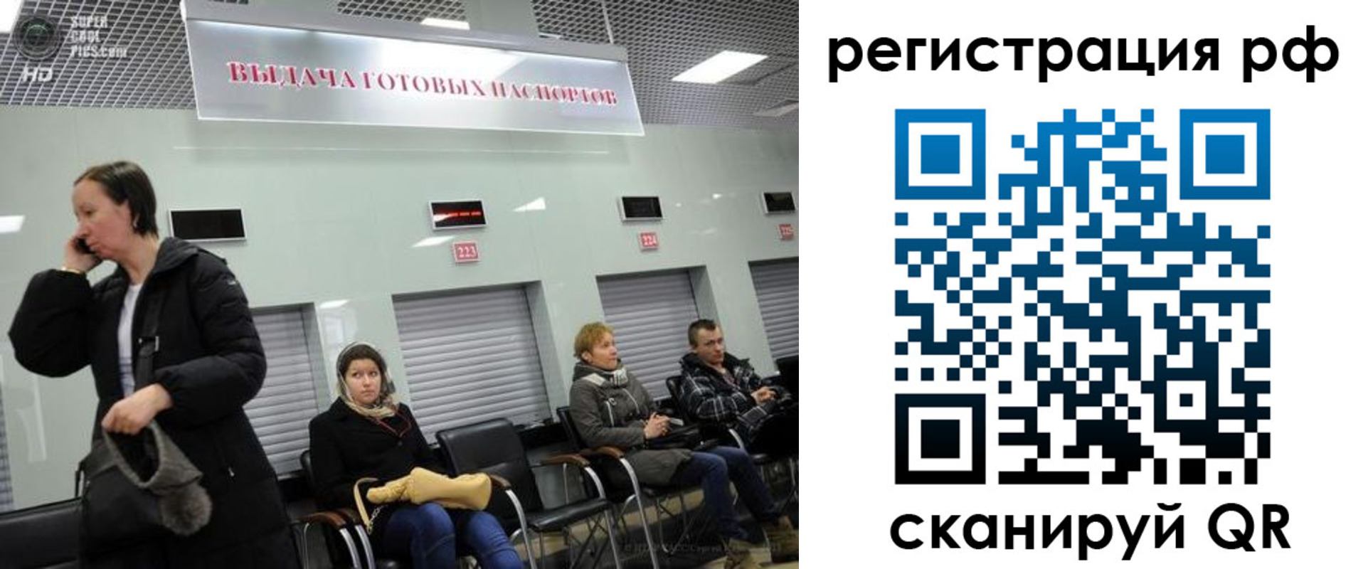 прописка для школы в Новгородской области